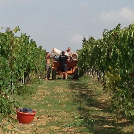Agriturismo Le Baccane Βίντσι Εξωτερικό φωτογραφία