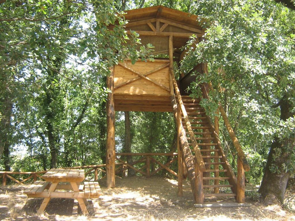 Agriturismo Le Baccane Βίντσι Εξωτερικό φωτογραφία